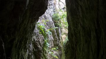 Csákvári-barlang (Báracháza-barlang) (thumb)